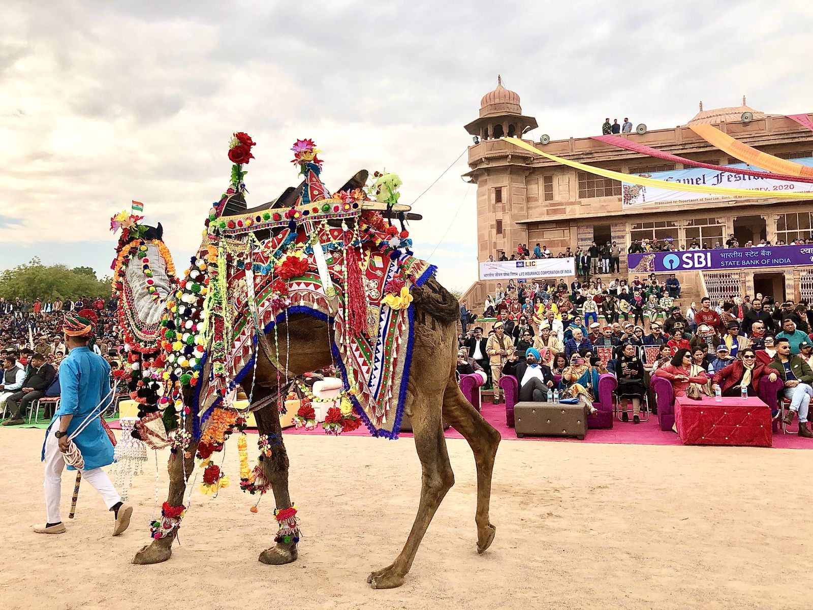 Decorated camels and riders on parade at the Bikaner Camel Festival