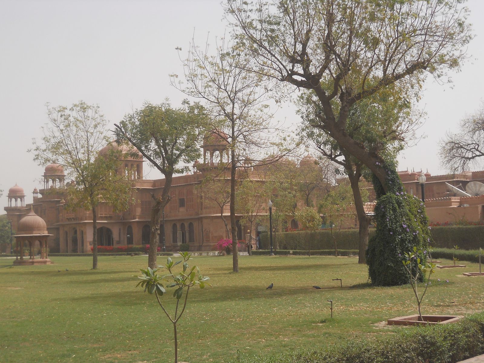 The carved red sandstone facade of Laxmi Niwas Palace in Bikaner