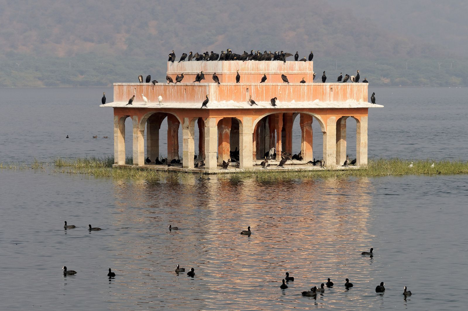 Man Sagar Lake in Jaipur with Jal Mahal in the water and the Aravalli hills rising behind it