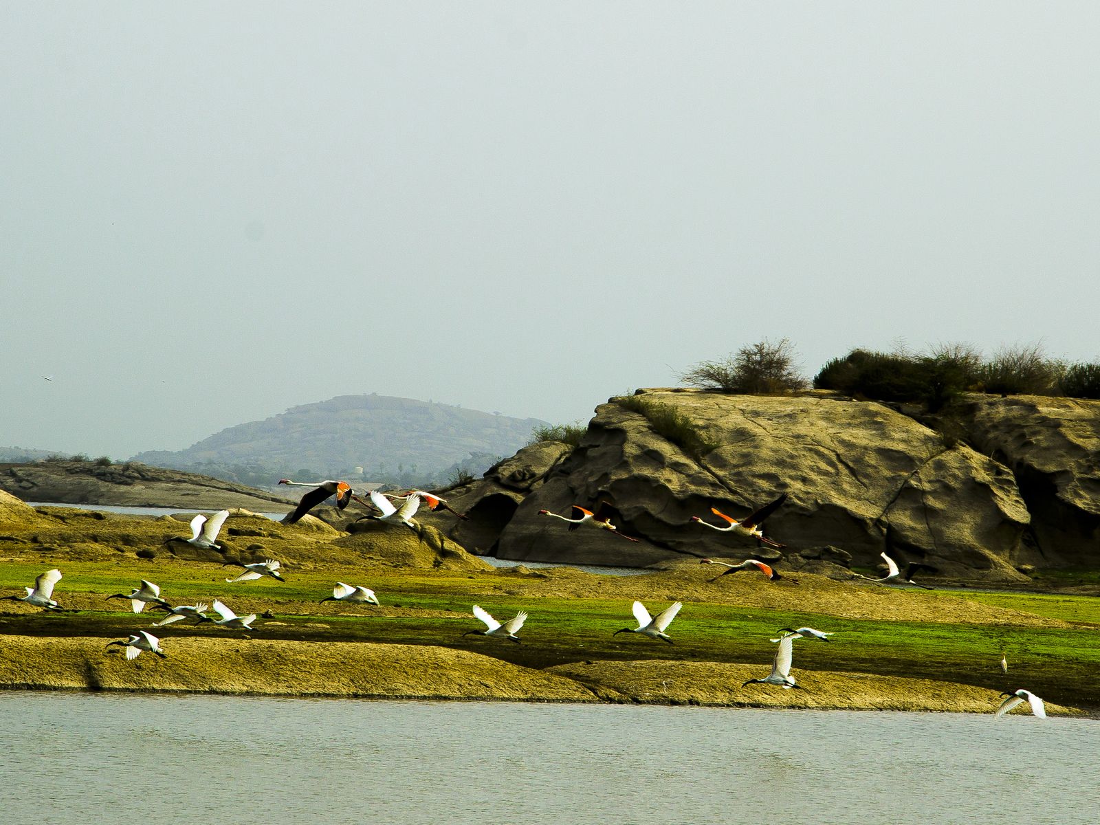The ancient granite hills of the Aravalli range around the Jawai reservoir