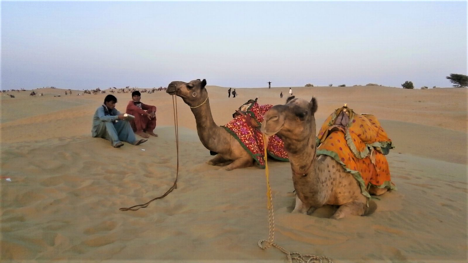 Camels and their handlers on a tourist desert trip in the Thar