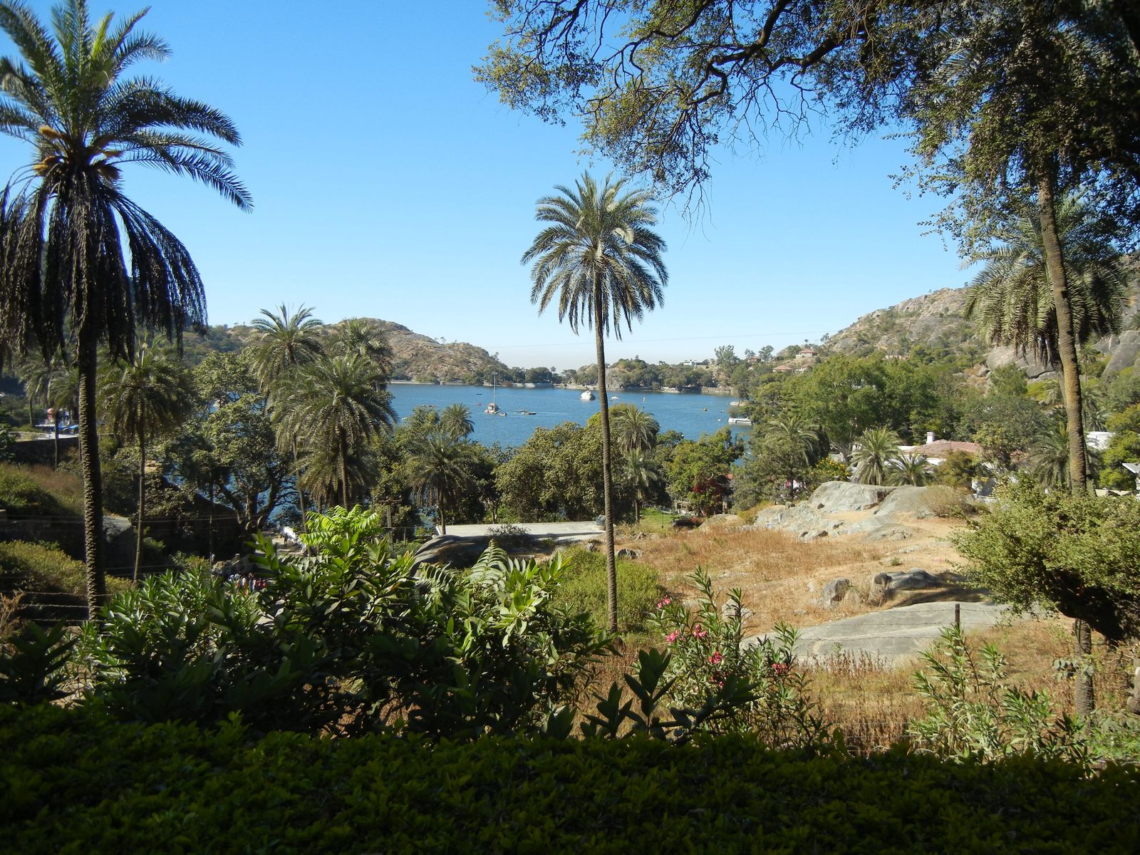 Nakki Lake seen through the trees of the Mount Abu Wildlife Sanctuary