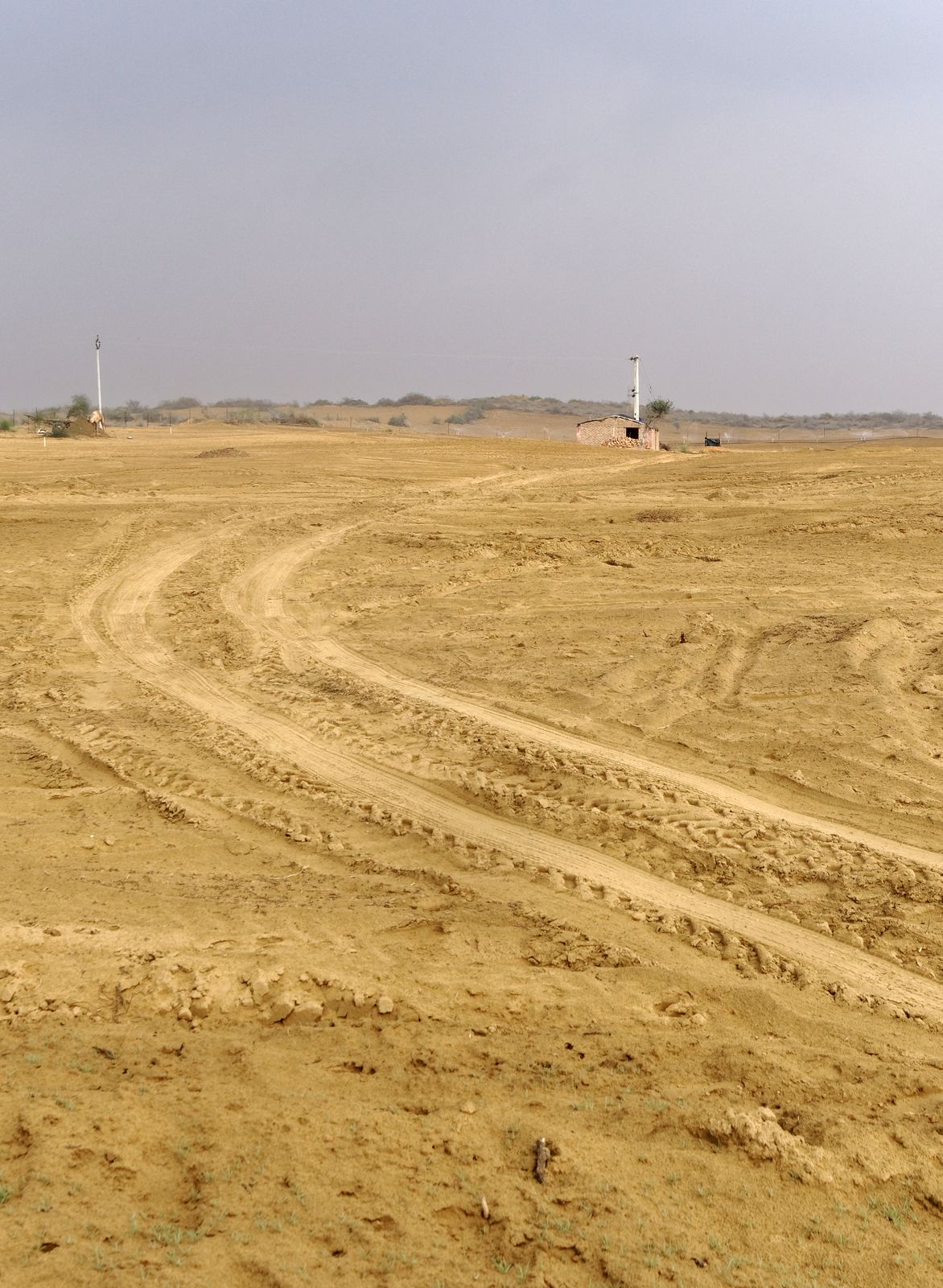 A straight two-lane highway running through flat Thar desert scrub in western Rajasthan under a clear sky