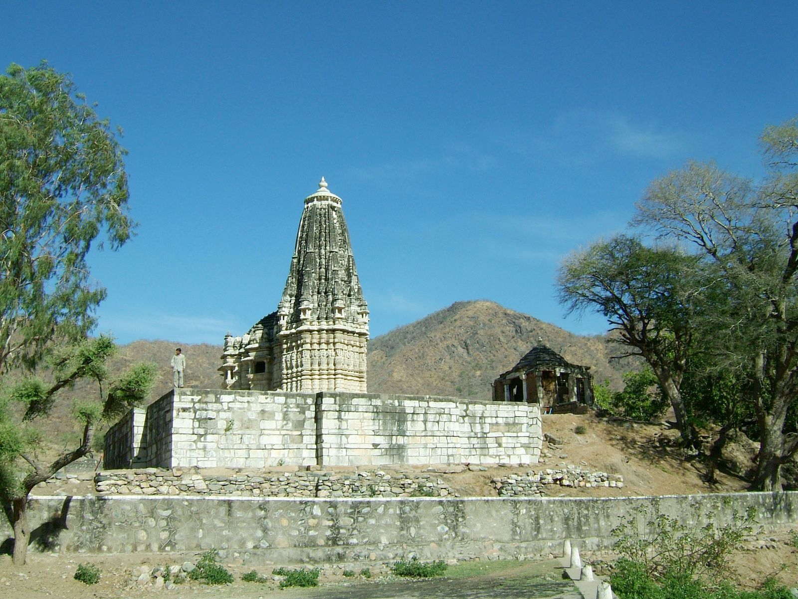 The carved polygonal walls of the Sun temple at Ranakpur with figures of horses and warriors
