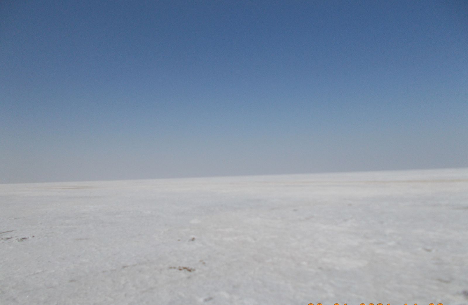The flat white salt crust of the Great Rann of Kutch at Dhordo stretching to the horizon