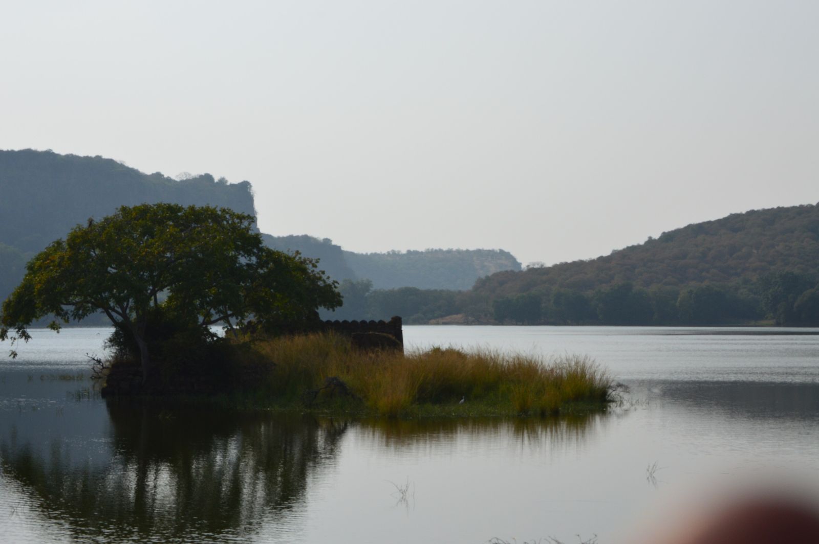 The still water of Padam Talao lake inside Ranthambore National Park