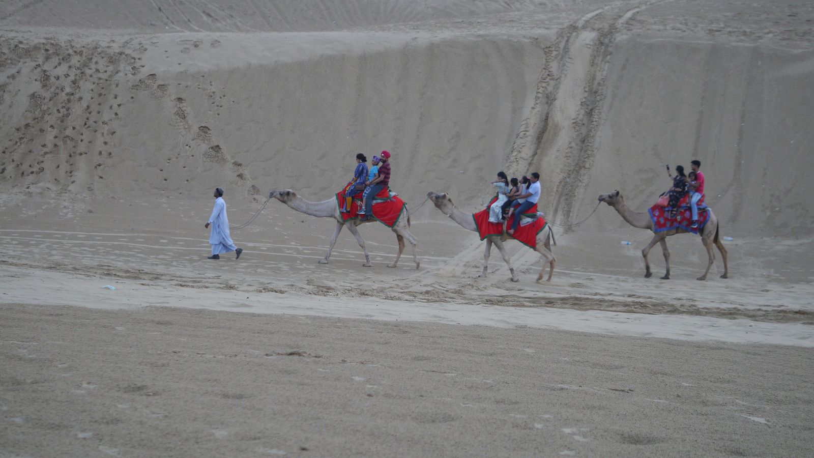 Camels and riders on the sand dunes at Sam near Jaisalmer