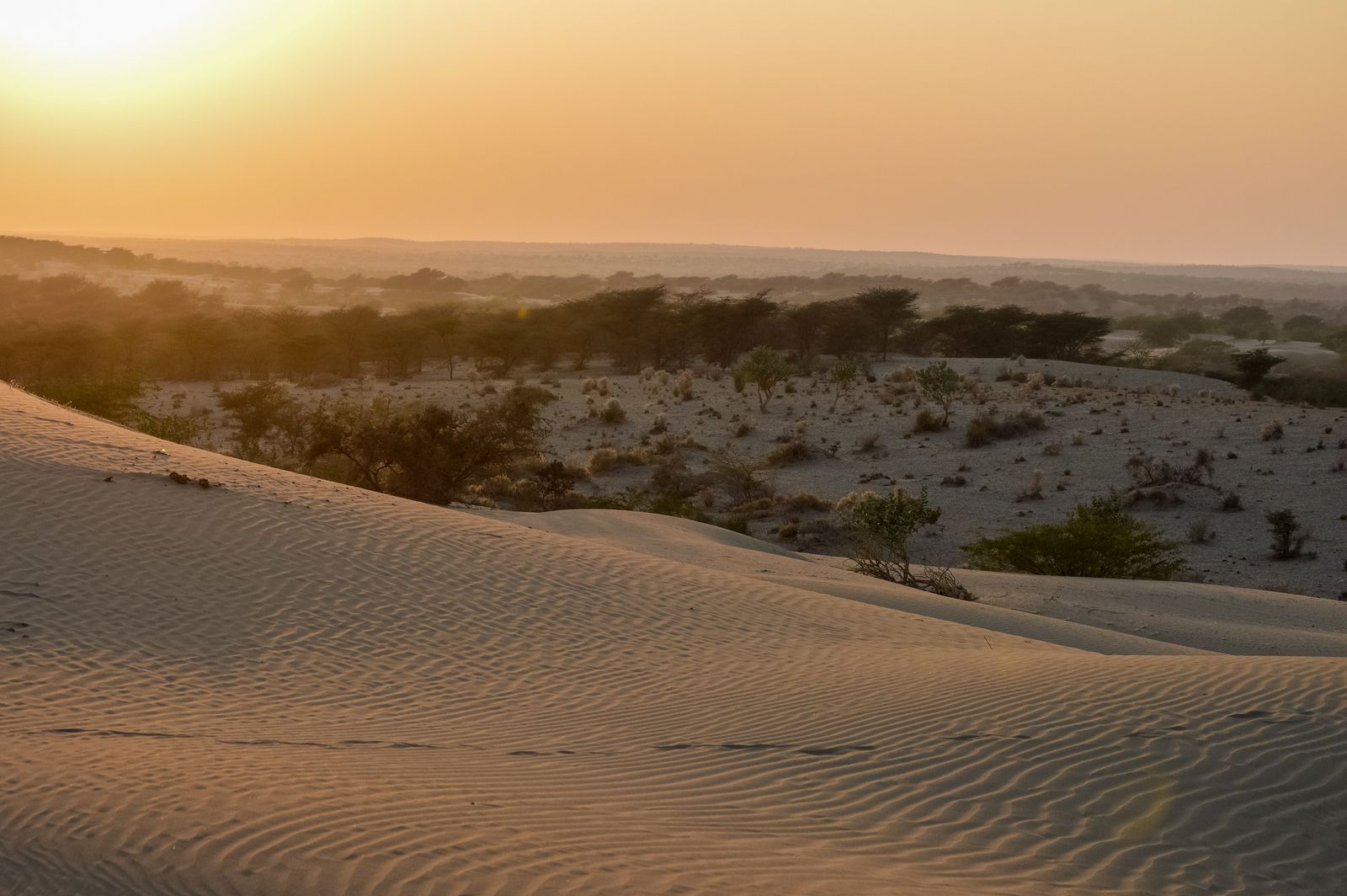 The sun setting over rippled sand dunes at Sam near Jaisalmer, the sand glowing orange and gold