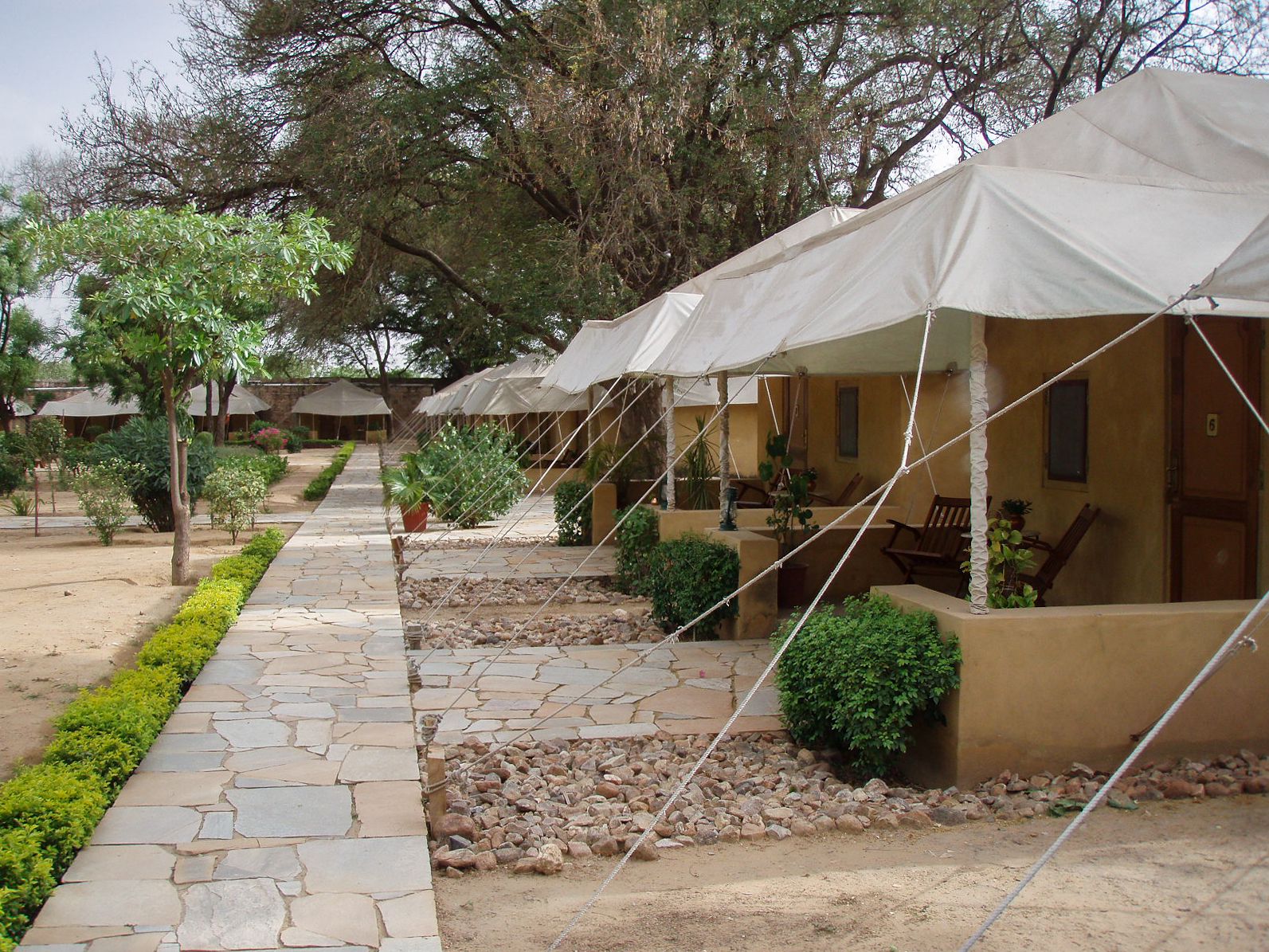 Tented rooms among trees at Samode Bagh near Samode