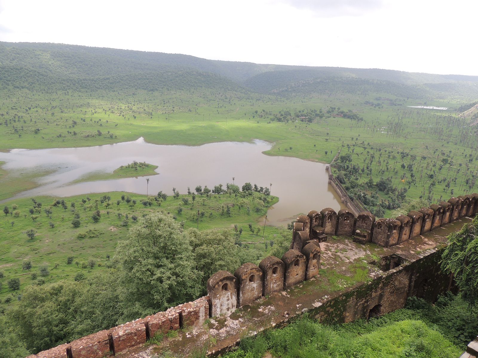 Grassland and scattered trees on the Kankwari plateau in Sariska Tiger Reserve