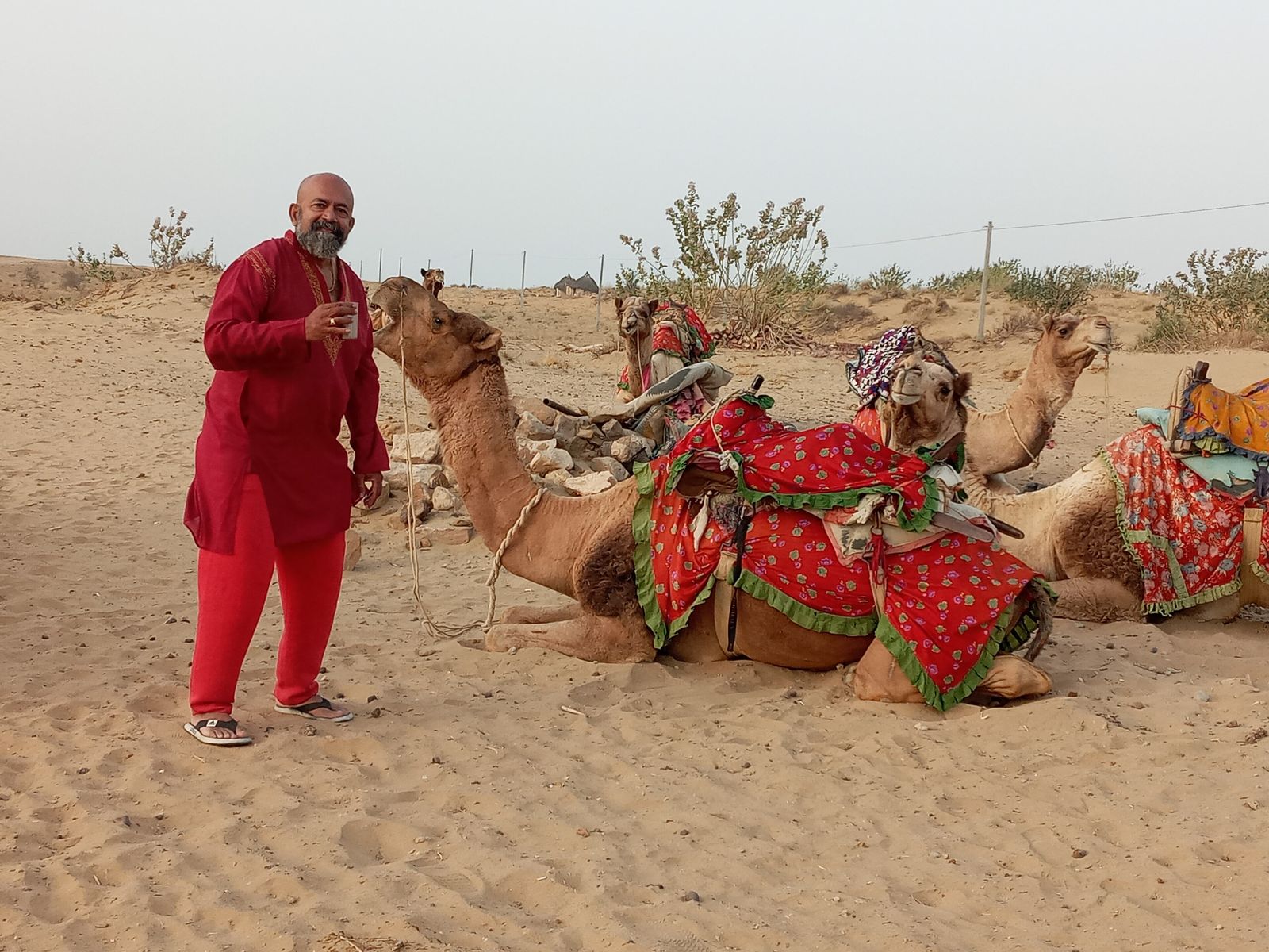 A camel driver and his decorated camels resting on the Sam sand dunes